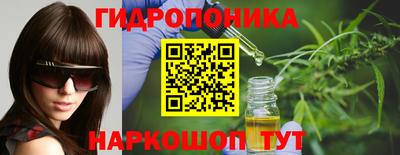 индика Лесосибирск
