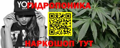 индика Лесосибирск