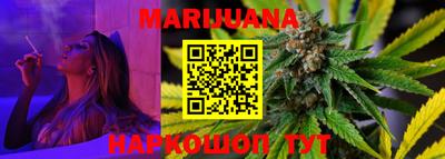 индика Лесосибирск