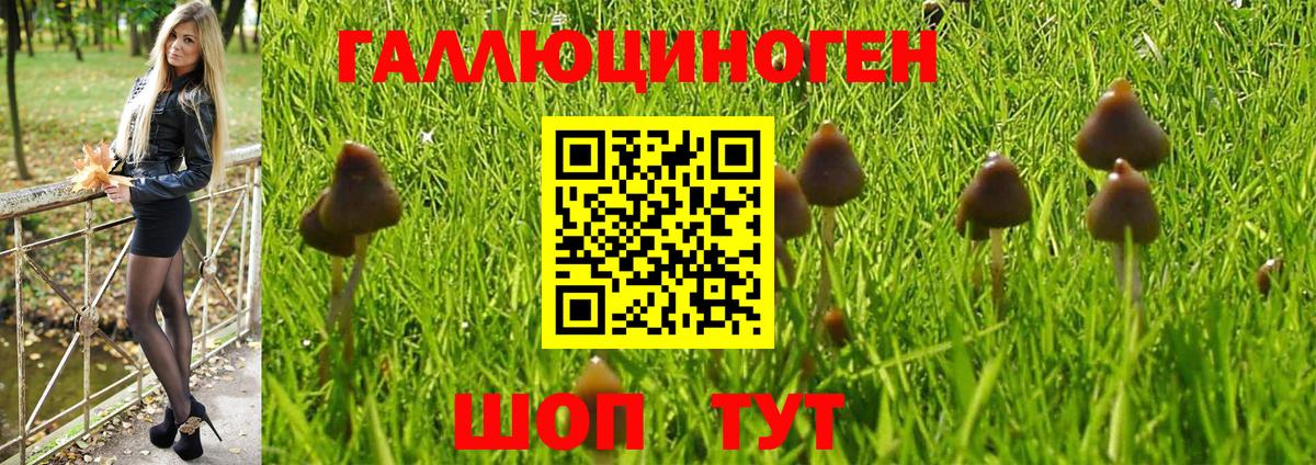 Псилоцибиновые грибы MAGIC MUSHROOMS  Галлюциногенные грибы прущие грибы  Вход с VPN  Заволжье 