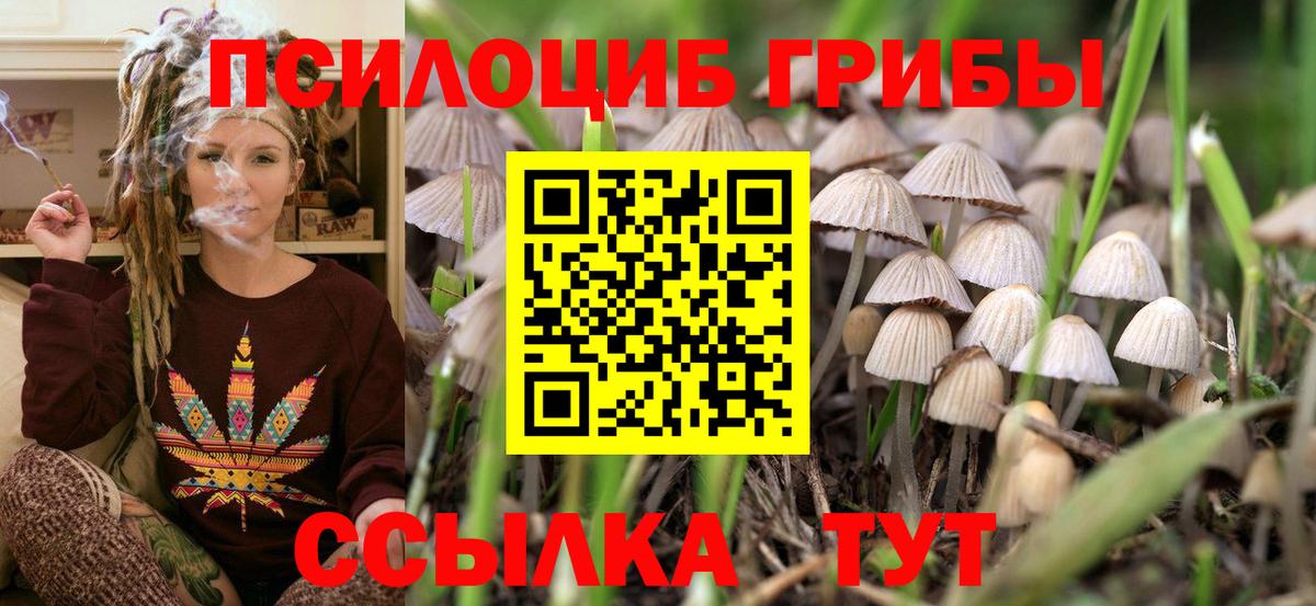Заволжье  COCAIN  АМФ   LSD-25  Меф   Вход с VPN  ГАШИШ 