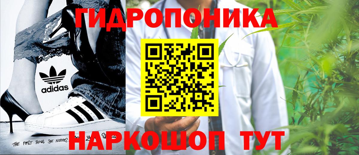 Каннабис ГИДРОПОН  МАРИХУАНА OG Kush  Вход с VPN  Бошки марихуана THC 21%  Заволжье  Марихуана конопля 